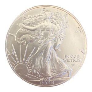 Moneda 1 Onza de Plata American Eagle 2022 - ( Circulada)