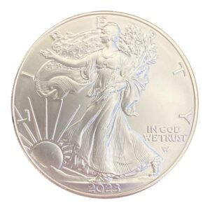 Moneda 1 Onza de Plata American Eagle 2023 - ( Circulada)