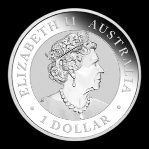 Alternative view of Australia - 1 Onza Koala 2020 - Plata Pura .999 - 1 Dólar - (Perth Mint)