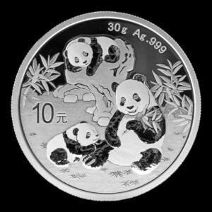 Panda 2025 – Moneda 10 Yuan China – 30 g Plata .999