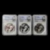 RARO - Set 3 Pandas 2020 – 30 gr. Plata .999 – 10 Yuan China - NGC MS 70