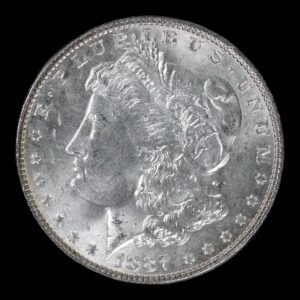 EE. UU. – 1 Dólar de Plata ‘Morgan’ – 1878 – Philadelphia Mint – 26,75 g (.900)