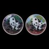 2 x Panda 2024 Coloreadas  – Moneda 10 Yuan China – 30 g Plata .999 (Defectos)