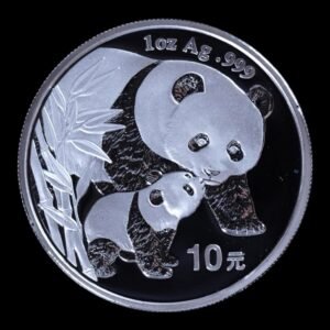 Panda 2004 – Moneda 10 Yuan China – 1 Onza de Plata .999 - MANCHAS