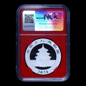 Alternative view of Panda 2024 - 30 Gr. Plata .999 - 10 Yuan China - NGC MS70 - Early Releases (PAGODA)