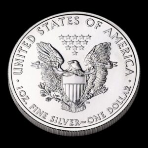 Alternative view of USA – Moneda 1 Dollar - 1 Onza de Plata .999 ‘American Eagle’ – 2009 (Circuladas)