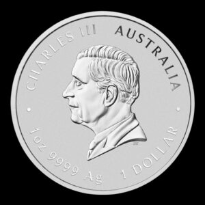 Alternative view of Australia – 1 Onza de Plata .999 ‘Año de la Serpiente ’ – 2025 – Serie Lunar III – The Perth Mint