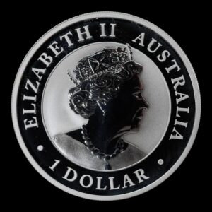 Alternative view of Australia - 1 Onza Kookaburra 2022 - Plata Pura .999 - 1 Dólar - (Perth Mint)
